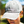 Load image into Gallery viewer, Faded Dad Hat
